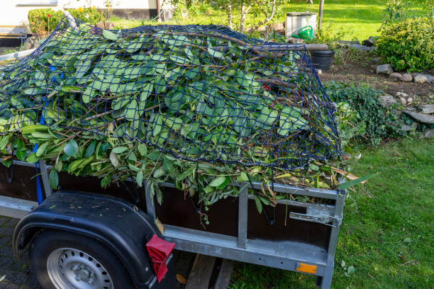 Best Carpet Removal and Disposal  in Pinehurst, MA